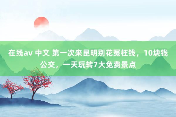 在线av 中文 第一次来昆明别花冤枉钱，10块钱公交，一天玩转7大免费景点