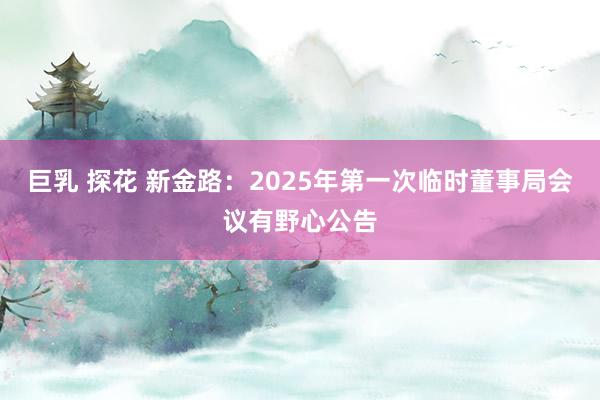 巨乳 探花 新金路：2025年第一次临时董事局会议有野心公告