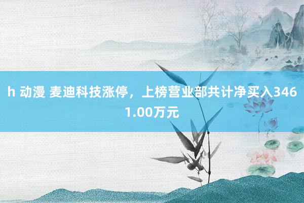 h 动漫 麦迪科技涨停，上榜营业部共计净买入3461.00万元