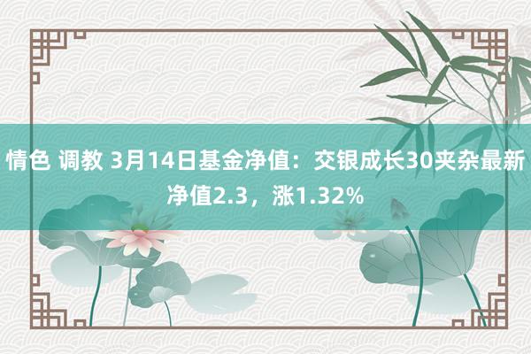 情色 调教 3月14日基金净值：交银成长30夹杂最新净值2.3，涨1.32%